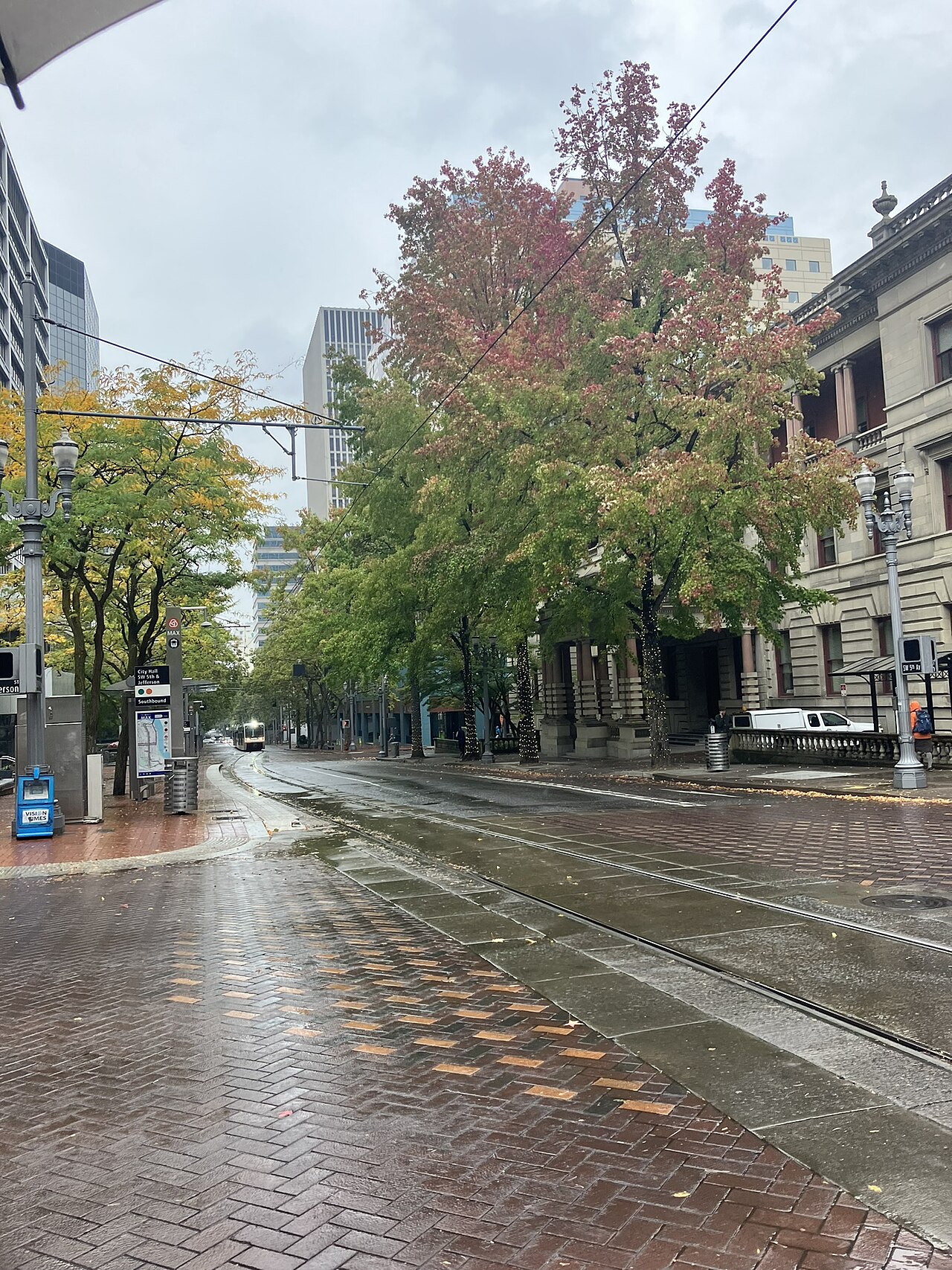 Free Portland yard trees: the next pickup is October 10