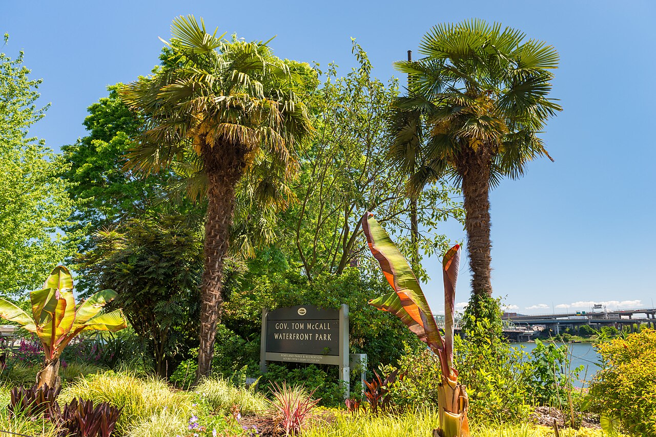 Waterfront Park redesign gains a second $750,000 planning grant